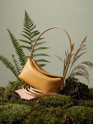 Botanical Studio Poster