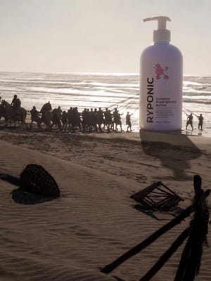 Giant Beach Hotspot 